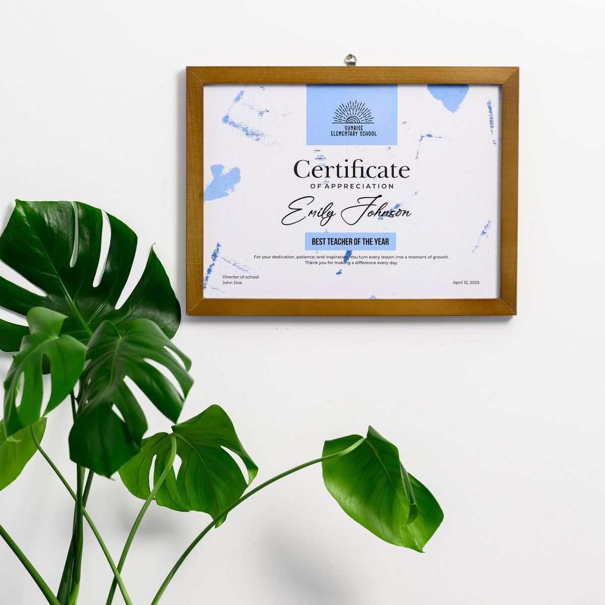 LEN - AAF - VAF - 002 | Volunteer Appreciation Frames
